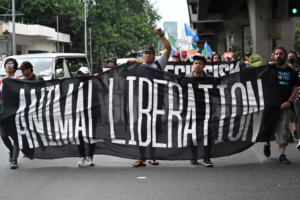 Historical Timeline of the Animal Rights Movement